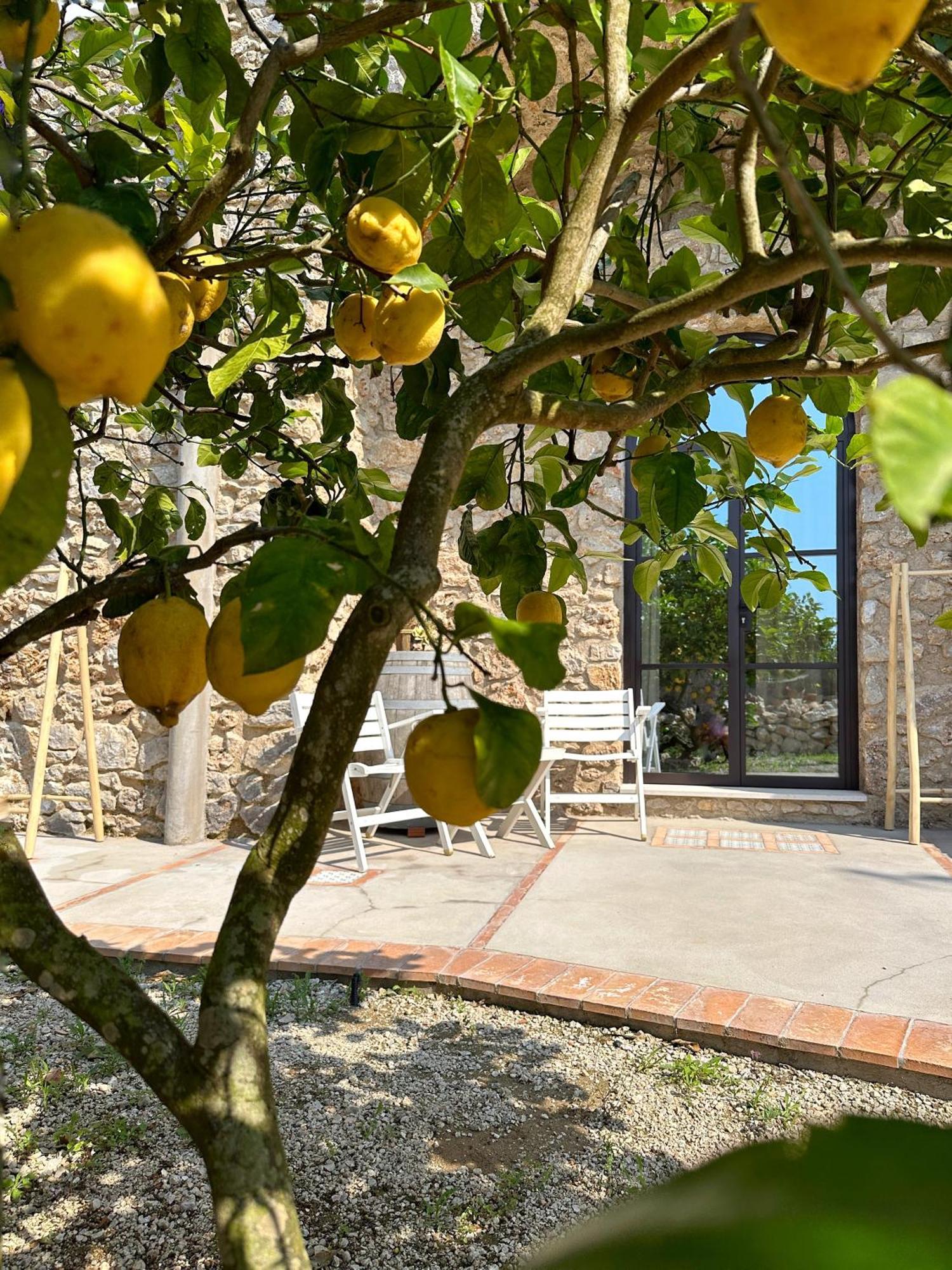 Dimora Storica Villa Pasquale Capri Exterior photo